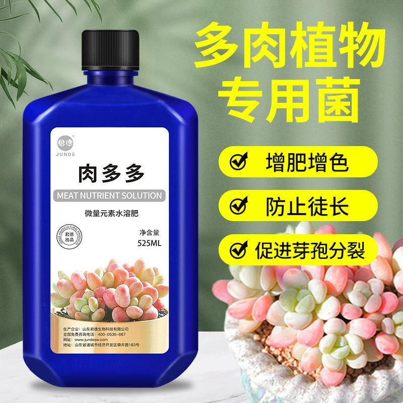Мясистый питательный раствор Специальный Тип для откорма цвета лопающиеся бутоны укоренения в помещении и на открытом воздухе для выращивания цветов мясистое удобрение питательный раствор