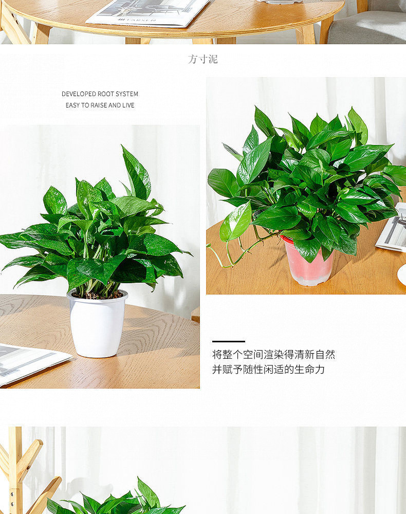 eda57433-0248-4f58-810f-ddad2c92a521.jpe