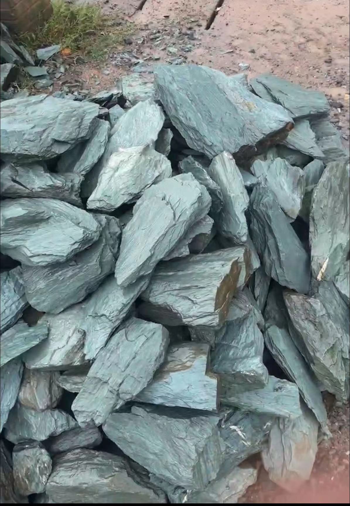 Чешуйчатый зеленый