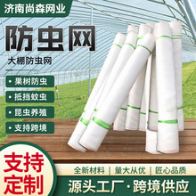 防虫网跨境农用大棚蔬菜加厚密目防蚊网网罩养殖场防蝇网片防虫网