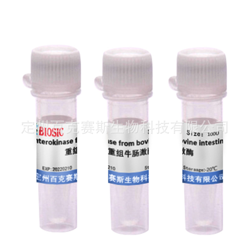 重组牛肠激酶 CAS:9014-74-8 实验科研用试剂 百克赛斯生物