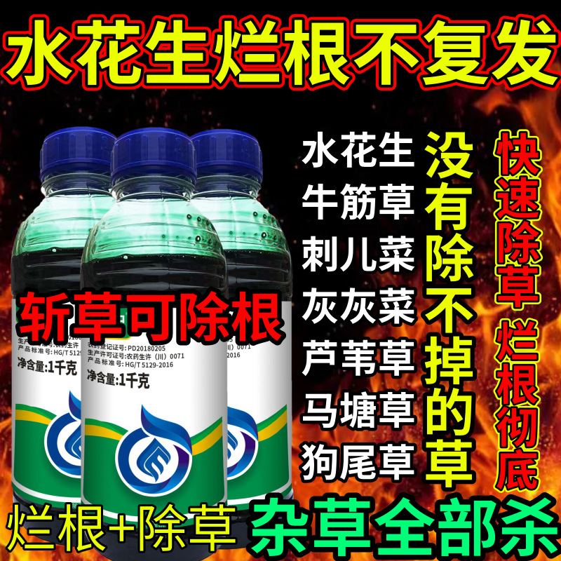 水花生烂根不复发死根草剂斩草除根荒地果园专用除草剂草铵膦除草