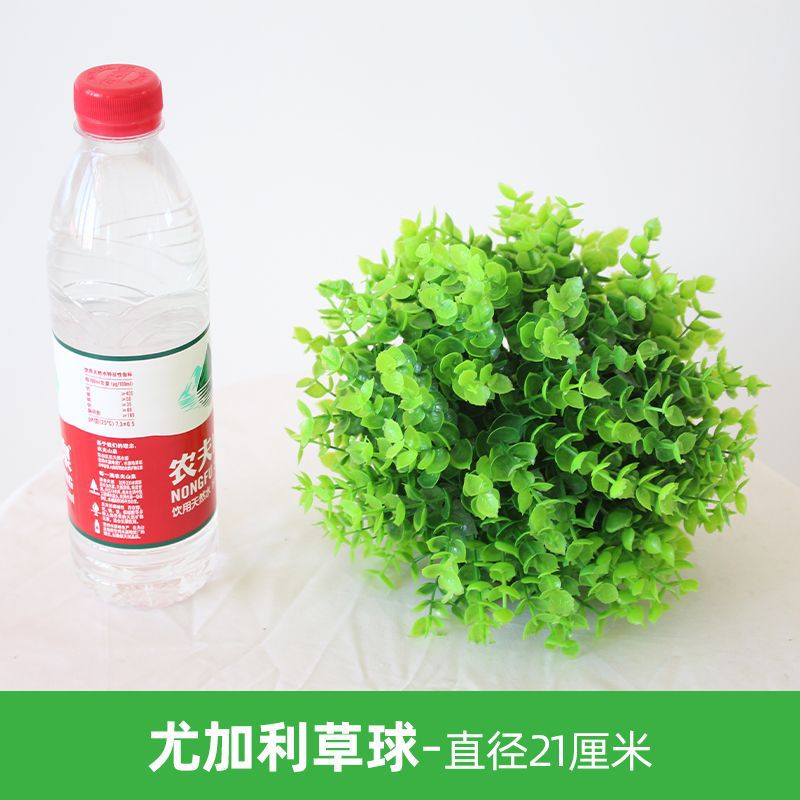 유칼립투스 잔디 공-직경 21cm