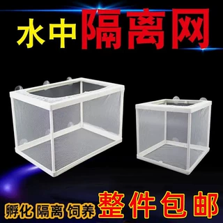 鱼缸隔离网孵化孔雀鱼繁殖盒水族箱隔离器产盒繁殖箱小鱼苗分离网
