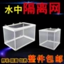 孵化水族箱孔雀鱼隔离网