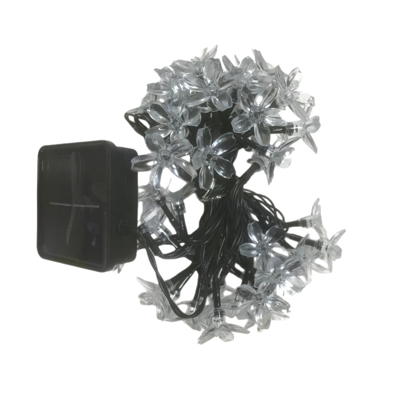 mmexport1660558198325_副本