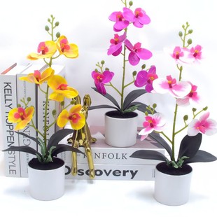 �����m����ʽ���滨�Ҿ��b[�����Ժ����m�m�����b��c�ٻ�