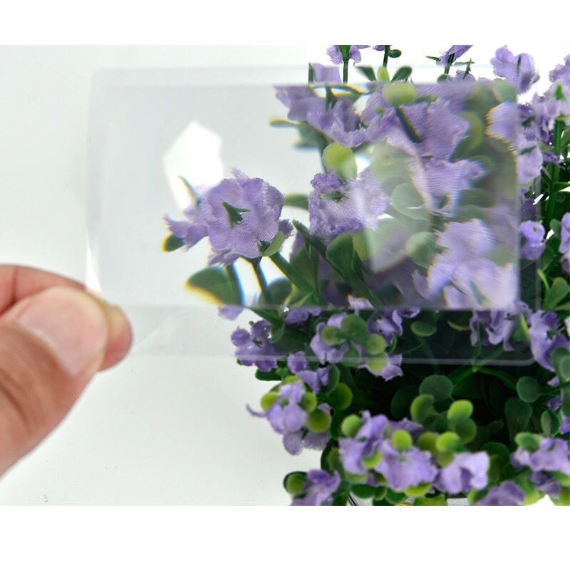 F7981B11848AB36D90C6EB25754331