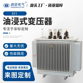 配电变压器;电力变压器;油浸式变压器