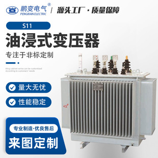 �ͽ�ʽ׃���� S11-M-20/10KV׃�����S��S11��׃Tϵ��30-6300KVA