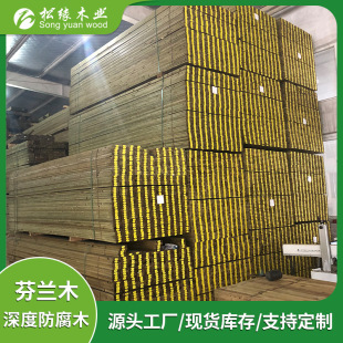 ������mľ��ľ����ľ����¶̨ͥԺ��ľľ�������m��ľ������l