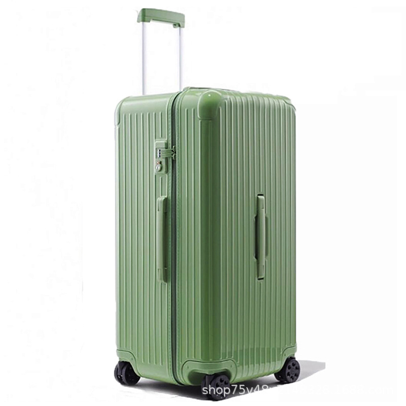 밝은 아보카도 그린