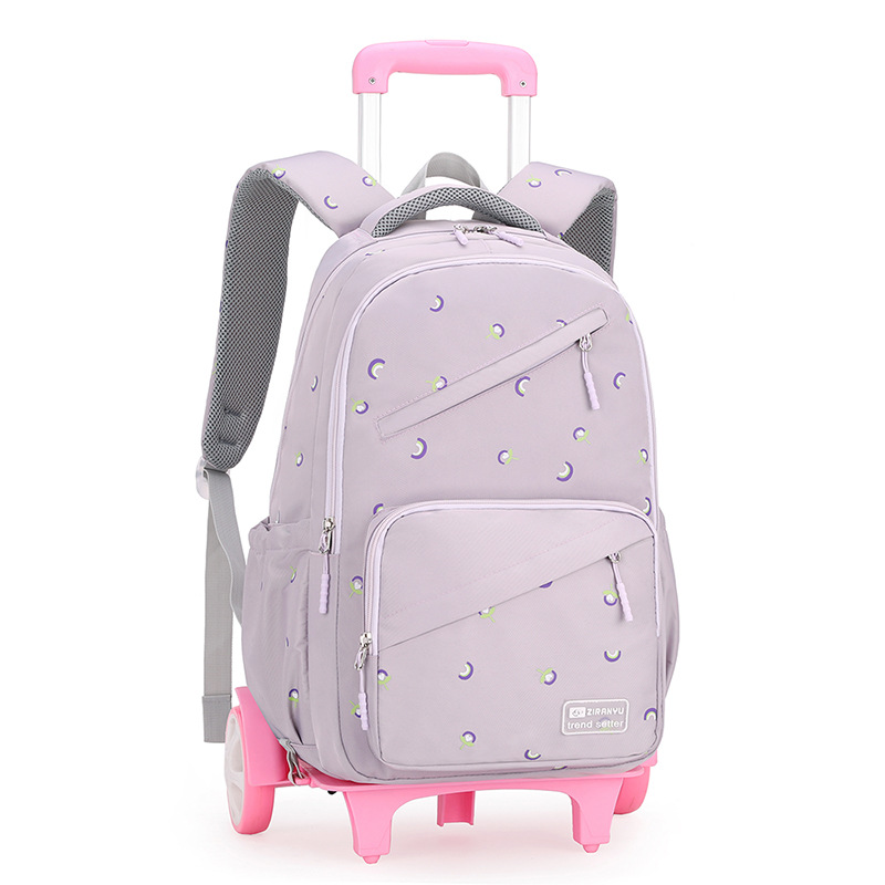 Una sola pieza entrega de pescado natural carro mochila nueva escuela primaria chica imprimible LOGO transfronterizo Venta caliente