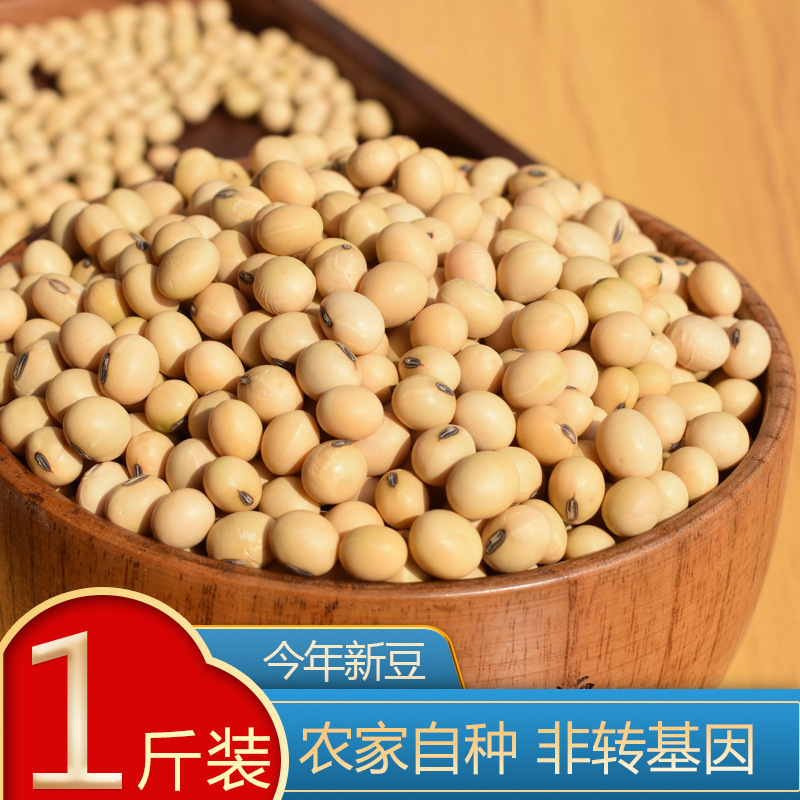 大豆農家 自家産豆乳専用大豆 非遺伝子組み換え古品種大豆 生豆もやし 2.5kgパック|undefined