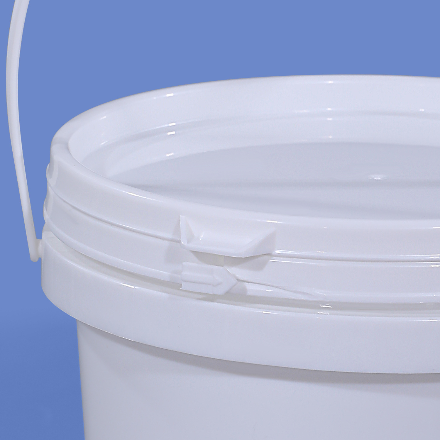 Metasequoia Cubo transparente de grado alimenticio Cubo de embalaje sellado de mariscos pequeños Cubo de plástico para llevar pintura de almacenamiento de agua Cubo de plástico para llevar