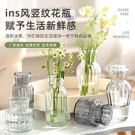 简约时尚迷你玻璃小花瓶水培绿植装饰桌面透明插花器摆件鲜花