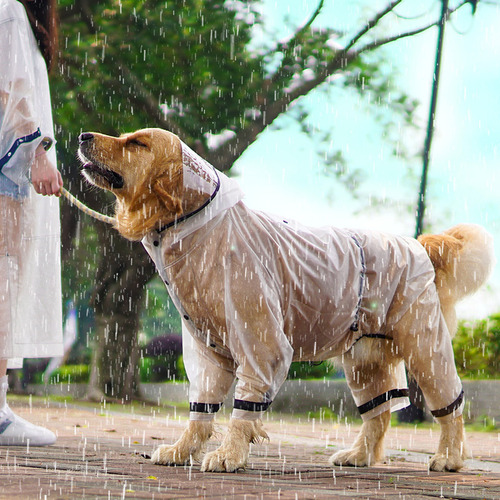 Small dog raincoat four-legged waterproof all-inclusive big dog raincoat pet medium and large dog small dog rainy day clothes poncho
