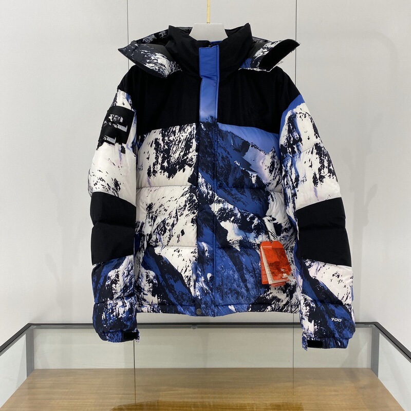 莆田TNF1996北家脸面花色雪山基地营三代羽绒服男女士情侣面包服|undefined