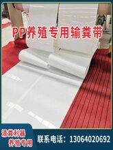 ȫ�Ԅ��Bֳ�O����S�CPPݔ�͎��u�������g����S�O����ĥPP��S��