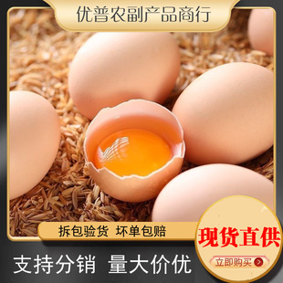 ����ɽ�|�r���u���p�S���u���������]�r��ɢ�B�p�S��һ�����l