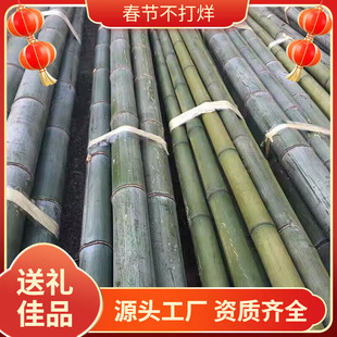 ��U��������������֧�ܴ����֧�ܗU��ë������������ӑ���