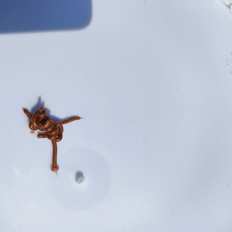 9090ecf1-6fdf-4f6d-9b22-7d7d78