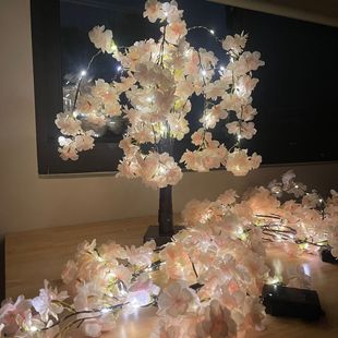 �ѻ�������˹���������~�����b[���羳���N��c�ѻ�С���