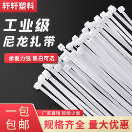 自锁式尼龙扎带 4*200耐寒白色 扎带厂家 捆绑带束线带打包带