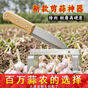����С厵�С厵���������������C�����^��������������횼�����