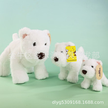 �ɐ�С�����ߵع��з���������������Ȯë�q��߮��I��Ů���Y��