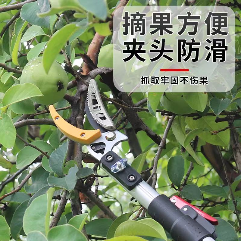 摘果神器高空采摘神器伸缩杆摘树枝加长杆修枝枇杷龙眼荔枝摘果剪|undefined