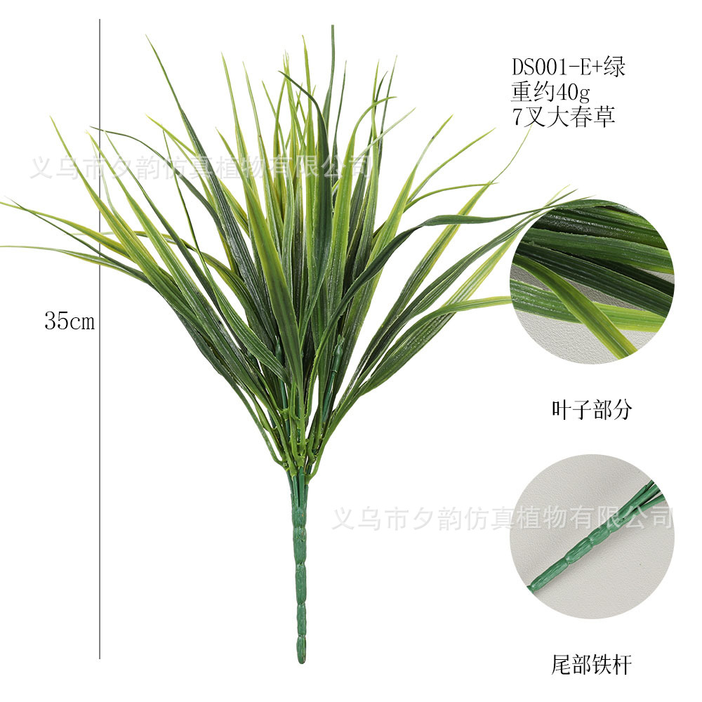 DS001-밝은 녹색 7갈래의 큰 봄풀