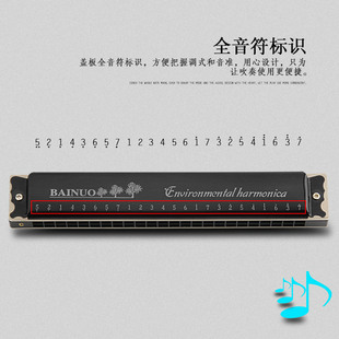 German Imported Reed Harmonica 24 Hole Compound C Tone Beginners Advanced Adult Professional Performance Gift Giving