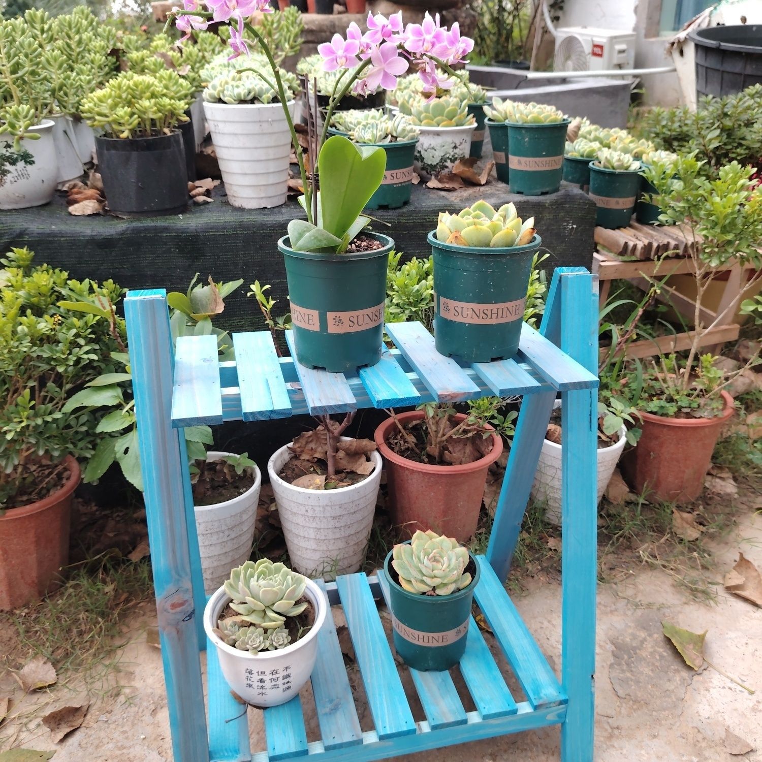 인기 추천 심플한 2단 꽃꽂이 레트로 블루