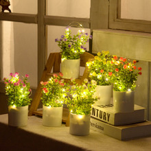 �羳���滨ֲ������ҹ���[�� ����Ҿ�����[�O���Ҵ��^�ٻ��辰