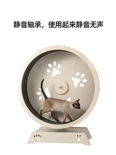 �ܲ��C�Ԋ��Ԙ��Č���LͲ��Ȧ�\��؈��؈�佡�����݆�D��������