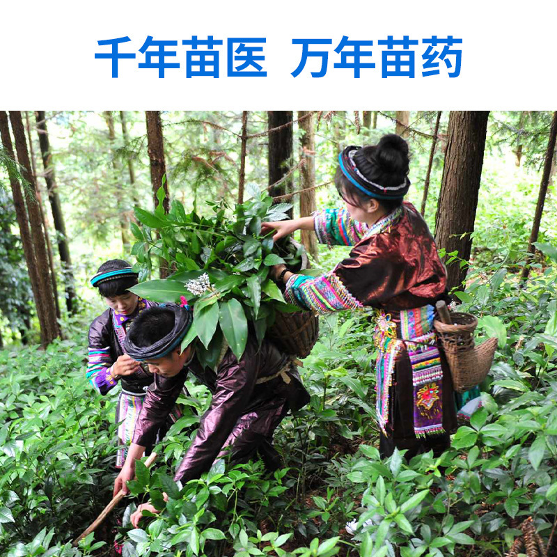 Zhenfuer Dongnan Miao 肩、首、膝、腰椎関節軟膏ユニバーサルよもぎパッチ人気パッチ家庭用グループ購入|undefined