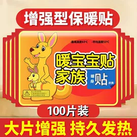 衣物清洁护理;其他保暖贴/怀炉/保暖用品;管道疏通剂