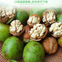 一件代发陕西鲜核桃2026青皮核桃湿核桃去青皮核桃孕妇非大凉山