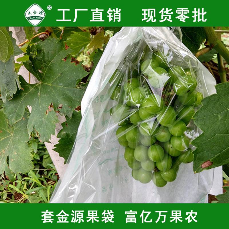 厂家直销批发山东水果套袋 大金源牌葡萄套袋 大量批发可订 制