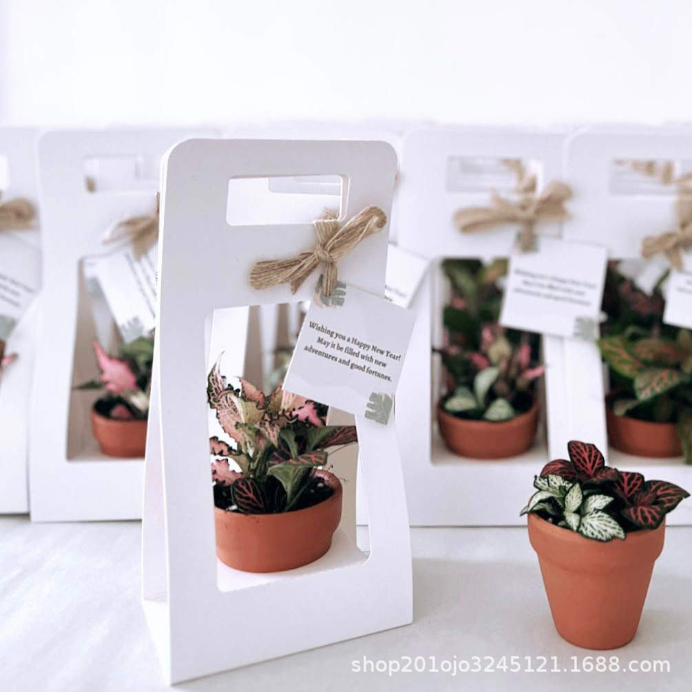 迷你盆栽款 (2).jpg