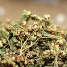 ��ș�� �s�S�ݻ� �s�S�ݵĻ� �Ĵ����A�s�S�ݲ���Ȼ���