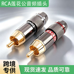 ����֫FRCA�b�乫�^ɏ���^AV���l���^