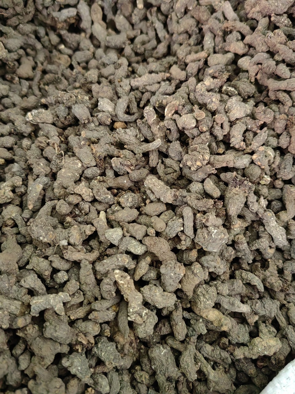 Tian Kui Zi (Semiaquilegia adoxoides) — Dried Food Herb Root, 500g specifications