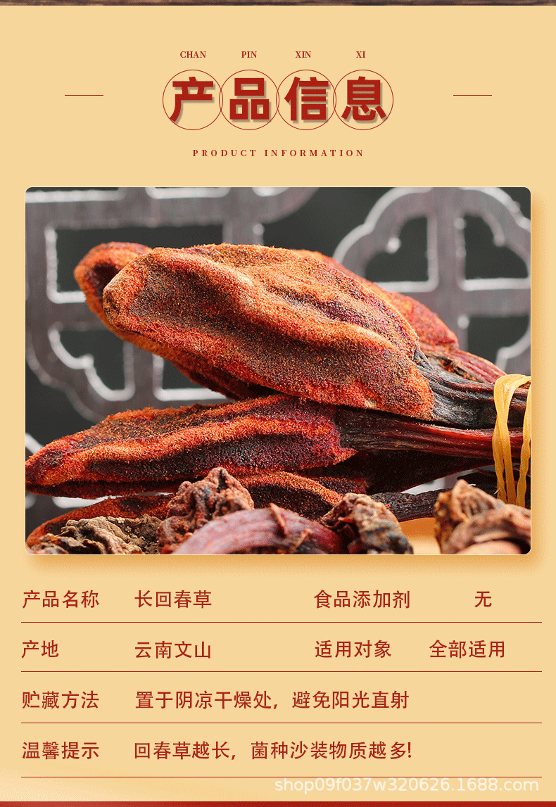 Hui Chun Cao Dried Herb 500g Yunnan Highland Huichuncao Whole Herb for Herbal Wine Infusion in use