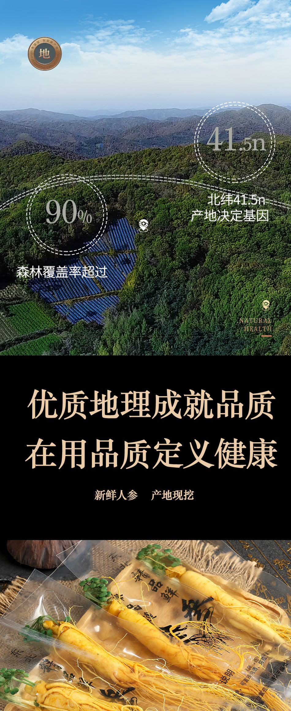 Fresh Ginseng Roots for Cooking and Herbal Soup 15g Pack of 10 Roots from Jilin key features