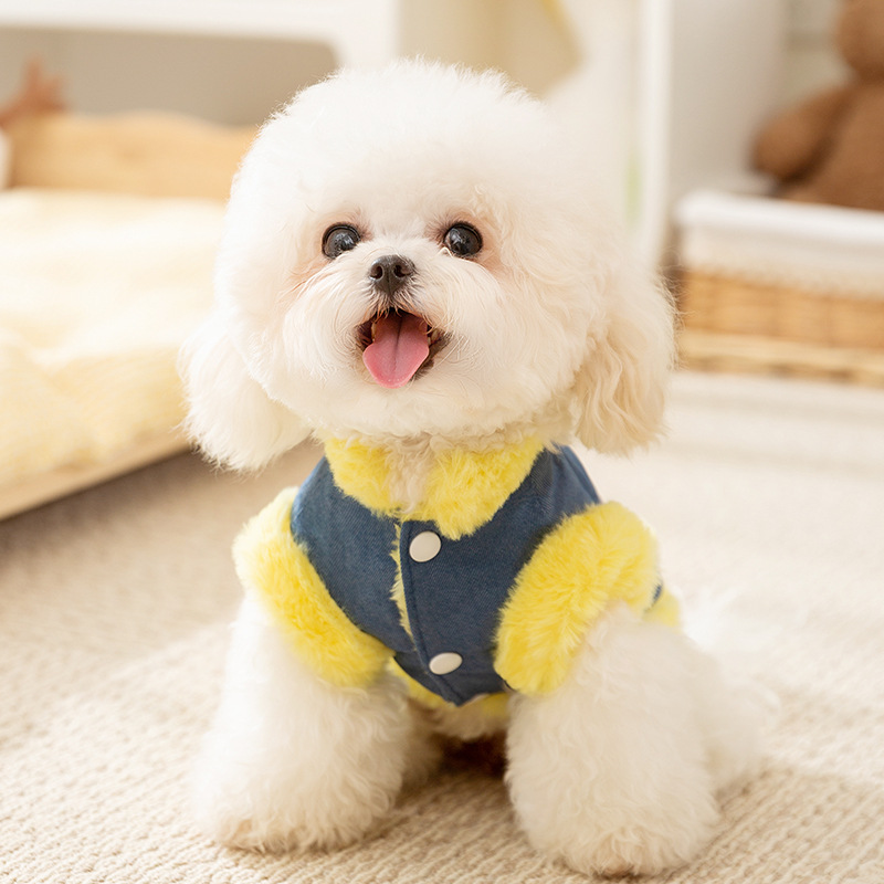 Amarillo HI cara sonriente tracción chaleco de algodón vaquero pequeño perro dos pies sin mangas para salir con ropa de perro mascota