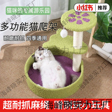 2025؈����؈�Cһ�w�����؃r؈��e������؈ץ�����؈ץ��؈����