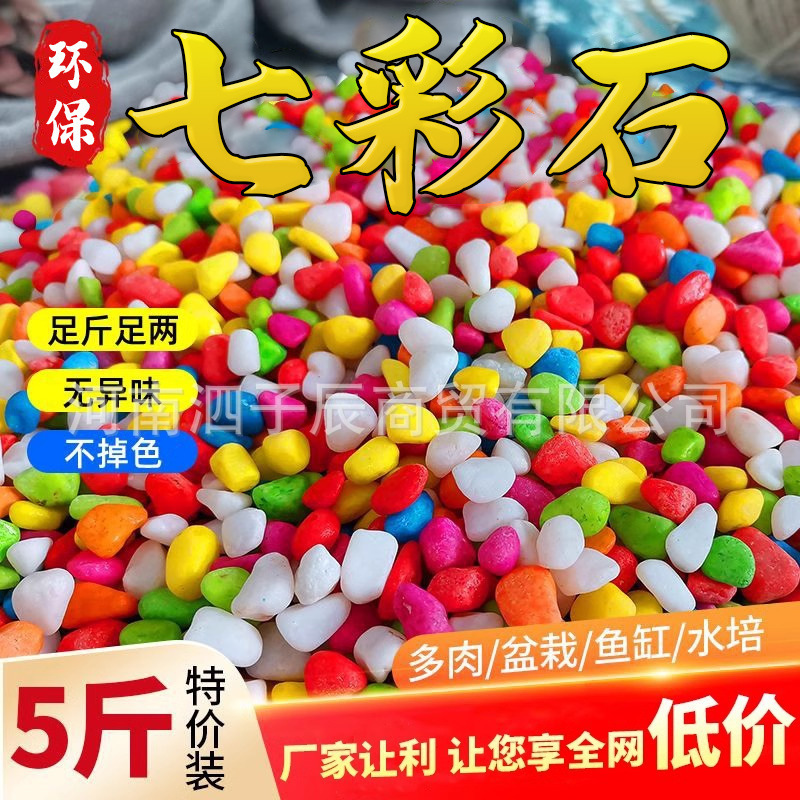 Natural Colorful Stone Colorful Stone Potted Planting Colorful Fleshy Paving Stone Flower Pot Fish Tank Landscape Small Pebbles Natural Colorful Stone Colorful Stone Potted Planting Colorful Fleshy Paving Stone Flower Pot Fish Tank Landscape Small Pebbles