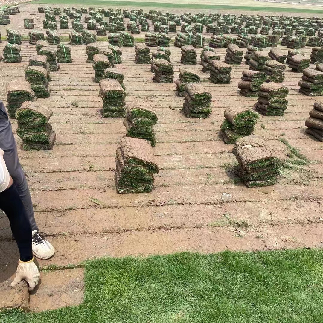 201b3b36635413184bffdba9d9795c